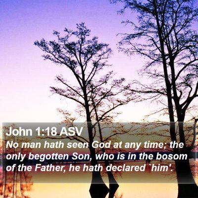 John 1:18 ASV Bible Verse Image