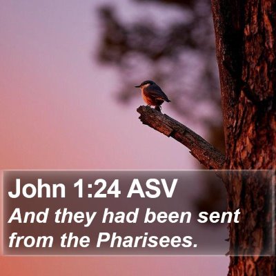 John 1:24 ASV Bible Verse Image