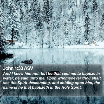 John 1:33 ASV Bible Verse Image