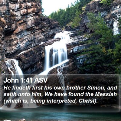John 1:41 ASV Bible Verse Image
