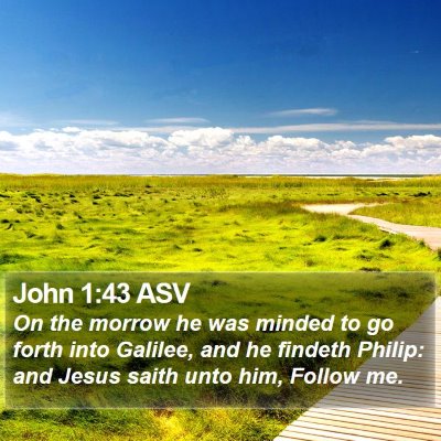 John 1:43 ASV Bible Verse Image