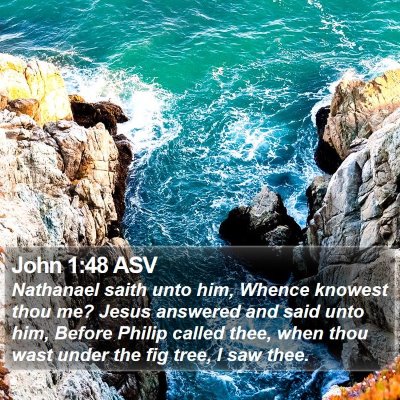John 1:48 ASV Bible Verse Image