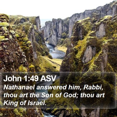 John 1:49 ASV Bible Verse Image