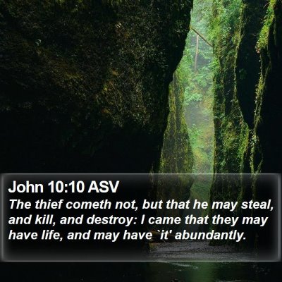 John 10:10 ASV Bible Verse Image