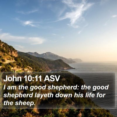 John 10:11 ASV Bible Verse Image