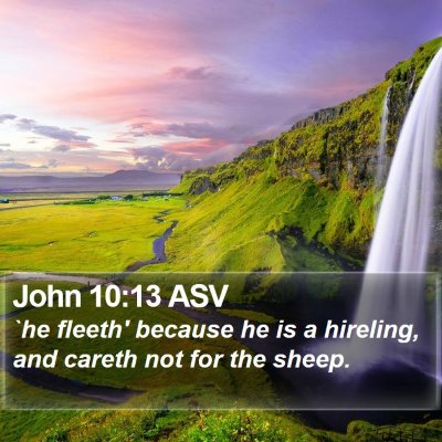 John 10:13 ASV Bible Verse Image