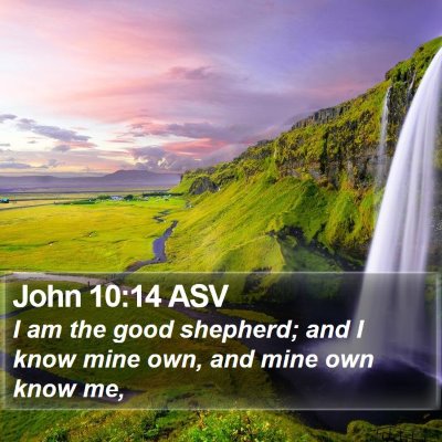 John 10:14 ASV Bible Verse Image