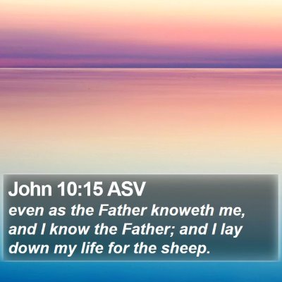 John 10:15 ASV Bible Verse Image