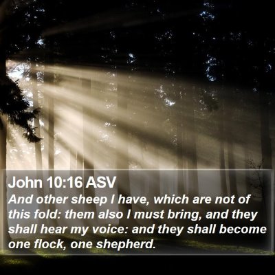 John 10:16 ASV Bible Verse Image
