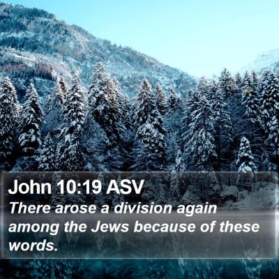 John 10:19 ASV Bible Verse Image