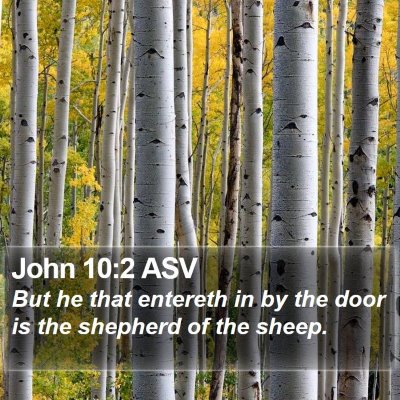 John 10:2 ASV Bible Verse Image