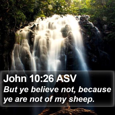 John 10:26 ASV Bible Verse Image