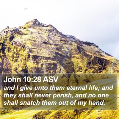 John 10:28 ASV Bible Verse Image