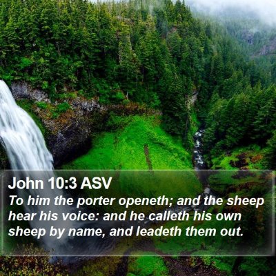 John 10:3 ASV Bible Verse Image