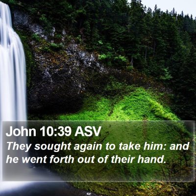 John 10:39 ASV Bible Verse Image