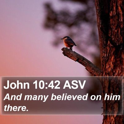 John 10:42 ASV Bible Verse Image