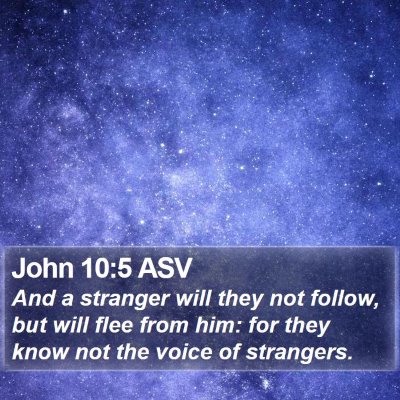 John 10:5 ASV Bible Verse Image
