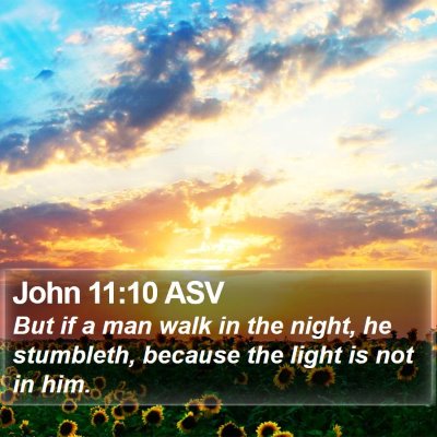 John 11:10 ASV Bible Verse Image