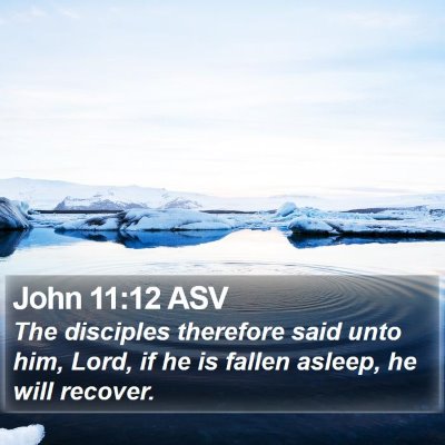 John 11:12 ASV Bible Verse Image