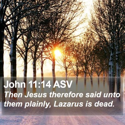 John 11:14 ASV Bible Verse Image