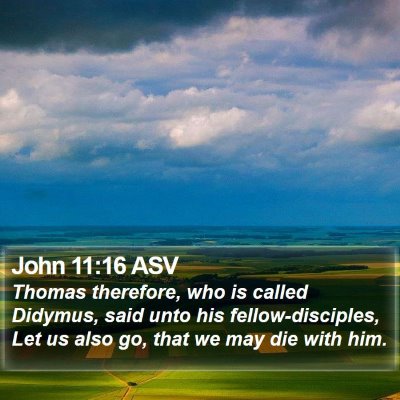 John 11:16 ASV Bible Verse Image