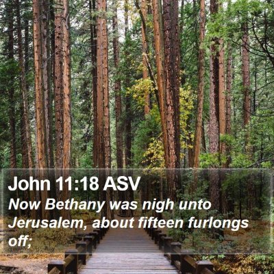 John 11:18 ASV Bible Verse Image