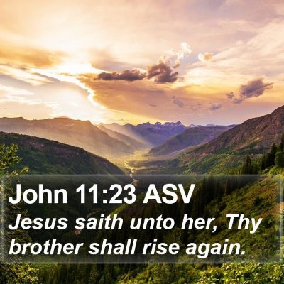 John 11:23 ASV Bible Verse Image