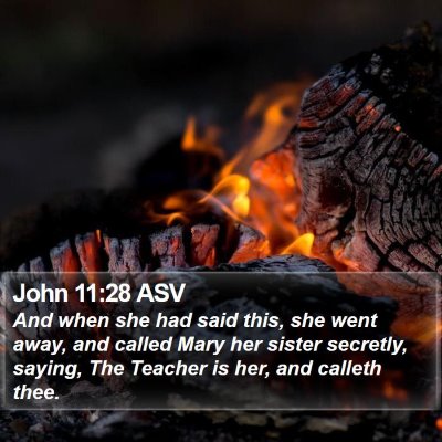 John 11:28 ASV Bible Verse Image