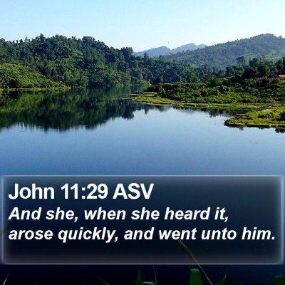 John 11:29 ASV Bible Verse Image