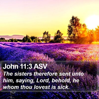 John 11:3 ASV Bible Verse Image