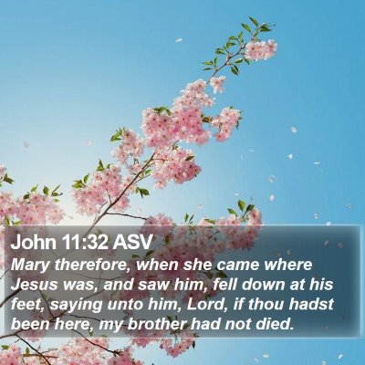 John 11:32 ASV Bible Verse Image