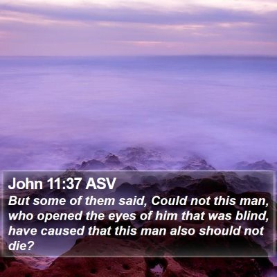 John 11:37 ASV Bible Verse Image