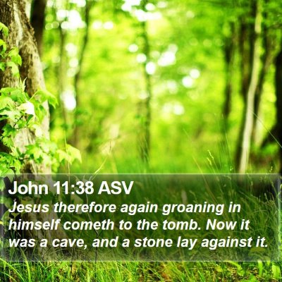 John 11:38 ASV Bible Verse Image