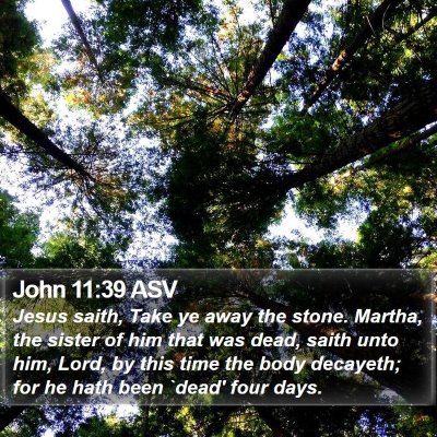 John 11:39 ASV Bible Verse Image
