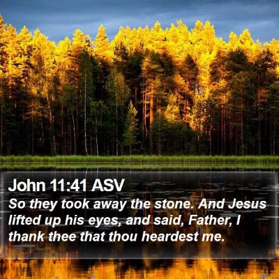 John 11:41 ASV Bible Verse Image