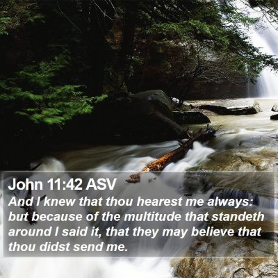 John 11:42 ASV Bible Verse Image