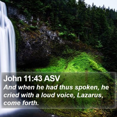 John 11:43 ASV Bible Verse Image