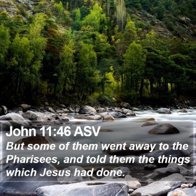 John 11:46 ASV Bible Verse Image