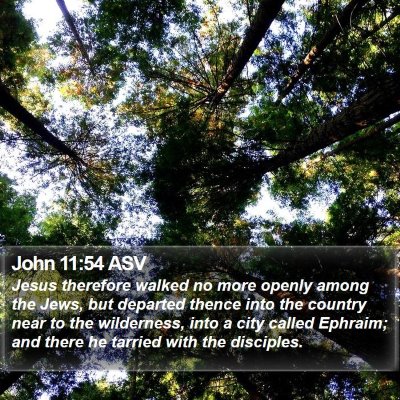 John 11:54 ASV Bible Verse Image