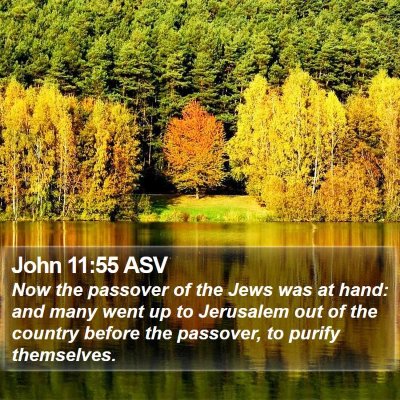 John 11:55 ASV Bible Verse Image