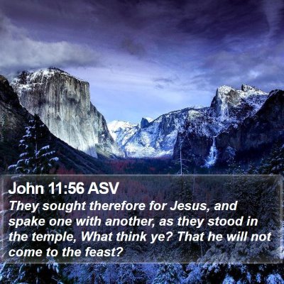 John 11:56 ASV Bible Verse Image