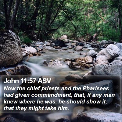 John 11:57 ASV Bible Verse Image