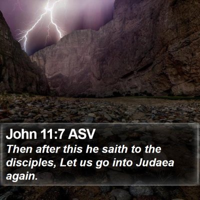 John 11:7 ASV Bible Verse Image
