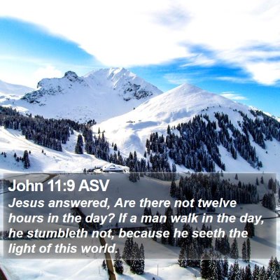 John 11:9 ASV Bible Verse Image