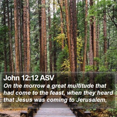 John 12:12 ASV Bible Verse Image