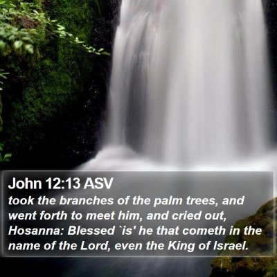 John 12:13 ASV Bible Verse Image