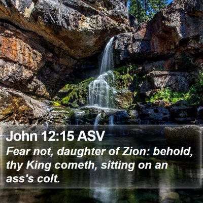 John 12:15 ASV Bible Verse Image