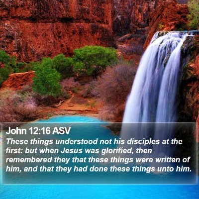 John 12:16 ASV Bible Verse Image