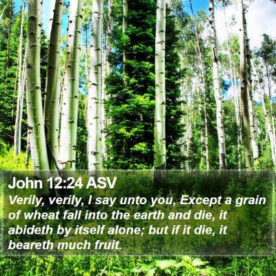 John 12:24 ASV Bible Verse Image