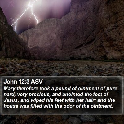 John 12:3 ASV Bible Verse Image